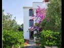 Apartmanok Pupa - nice family apartments: A1 Dora(4+1), A2 Mihael(4+1), A3 Tea(2+1) Petrcane - Riviera Zadar  - ház