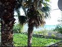 Apartmanok Teo - 8m from the sea & parking: A1 žuti(4), A2 bijeli(4), A3 novi(4) Privlaka - Riviera Zadar  - 