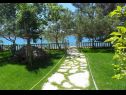 Apartmanok Ivan Z - 10 m from sea: A3(2), A4(2) Seline - Riviera Zadar  - kert