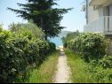 Apartmanok Dream - nearby the sea: A1-small(2), A2-midldle(2), A3-large(4+1) Seline - Riviera Zadar  - udvar