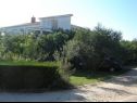 Apartmanok Vera - 150 m from sea: A1(4), SA2(2), SA3(2) Sukosan - Riviera Zadar  - ház