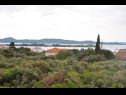 Apartmanok Martina - 300 m from sea: A1(2+2), A2(2+2) Sukosan - Riviera Zadar  - vegtáció (ház és környéke)