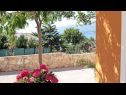 Házak a pihenésre Anamaria - sea and mountain view: H(3+2) Vinjerac - Riviera Zadar  - Horvátország  - udvar