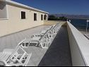 Apartmanok Stjepan- 10 m from beach A1 prizemlje desno(2+2), A2 prizemlje lijevo(2+2), A3 1.kat lijevo(2+2) Vir - Riviera Zadar  - közös terasz (ház és környéke)