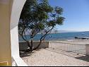 Apartmanok Stjepan- 10 m from beach A1 prizemlje desno(2+2), A2 prizemlje lijevo(2+2), A3 1.kat lijevo(2+2) Vir - Riviera Zadar  - Apartman - A1 prizemlje desno(2+2): kilátás a tengerre
