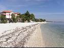 Apartmanok Monika - 10m from sea: A8(4+2), A11(4+2), A16(4+2), A17(4+2), A12(2+2), A13(2+2), A20(2+2), A21(2+2), SA14(2+1), SA15(2+1), SA22(2+1), A23(2+1) Vir - Riviera Zadar  - strand