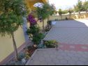 Apartmanok Vanja - terrace & BBQ A1(4+2), A2(4+1) Vir - Riviera Zadar  - udvar