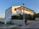 Apartmanok Rising Sun A1(2+2), A2(2+2), A3(2+2) Vir - Riviera Zadar  - ház