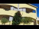 Apartmanok Vanja - terrace & BBQ A1(4+2), A2(4+1) Vir - Riviera Zadar  - ház