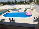 Házak a pihenésre Franny - comfortable: H(6+1) Zadar - Riviera Zadar  - Horvátország  - medence (ház és környéke)