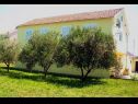 Apartmanok Mir - family apartments with garden terrace A1(4), A2(2) Zaton (Zadar) - Riviera Zadar  - ház