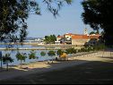 Apartmanok Renato - 150 m from beach: A1(2+2), A2(2+2) Sveti Filip i Jakov - Riviera Biograd  - strand