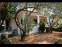 Apartmanok Ivo - relaxing & comfortable: A1(4+1) Vrgada (Vrgada sziget) - Riviera Biograd  - ház