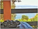 Házak a pihenésre Smokovlje - sea view and vineyard H(4) Bol - Brac sziget  - Horvátország  - H(4): kilátás