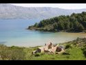 Házak a pihenésre Lidija - Robinson House: H(2+2) Öböl Lovrecina (Postira) - Brac sziget  - Horvátország  - strand