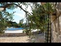 Házak a pihenésre Tonka - with pool; H(4+2) Pucisca - Brac sziget  - Horvátország  - medence (ház és környéke)