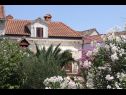 Házak a pihenésre Davor - relaxing and great location house : H(7+2) Sutivan - Brac sziget  - Horvátország  - ház