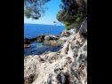 Apartmanok Mira - comfy with garden : A1 Žuti (2+2), A2 Crveni (2+2) Dubrovnik - Riviera Dubrovnik  - strand