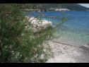 Apartmanok At the sea - 5 M from the beach : A1(2+3), A2(2+2), A3(8+2), A4(2+2), A5(2+2), A6(4+1) Klek - Riviera Dubrovnik  - strand