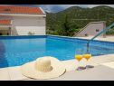 Házak a pihenésre Vedran - with beautiful lake view and private pool: H(7) Peracko Blato - Riviera Dubrovnik  - Horvátország  - medence