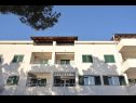 Apartmanok Leo - sea view & comfortable: A1(6) Ploce - Riviera Dubrovnik  - ház