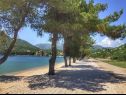 Apartmanok Leo - sea view & comfortable: A1(6) Ploce - Riviera Dubrovnik  - strand