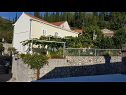 Házak a pihenésre Villa Marija - terrace H(6) Trsteno - Riviera Dubrovnik  - Horvátország  - ház