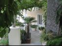 Házak a pihenésre Villa Marija - terrace H(6) Trsteno - Riviera Dubrovnik  - Horvátország  - udvar (ház és környéke)