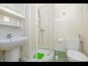 Apartmanok Silverija - garden and parking: SA1(2+1), SA2(2), SA3(2), SA4(2) Trsteno - Riviera Dubrovnik  - Apartmanstudió - SA3(2): fürdőszoba toalettel