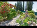 Apartmanok Silverija - garden and parking: SA1(2+1), SA2(2), SA3(2), SA4(2) Trsteno - Riviera Dubrovnik  - vegtáció (ház és környéke)