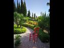 Apartmanok Silverija - garden and parking: SA1(2+1), SA2(2), SA3(2), SA4(2) Trsteno - Riviera Dubrovnik  - kert