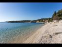 Apartmanok Marija - 50m close to the beach: A1(2+2), SA2(2+1) Zaton (Dubrovnik) - Riviera Dubrovnik  - strand