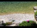 Apartmanok Sea View - 7 m from beach: A1(5+1) Öböl Zarace (Gdinj) - Hvar sziget  - Horvátország  - strand