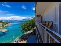 Apartmanok Sea View - 7 m from beach: A1(5+1) Öböl Zarace (Gdinj) - Hvar sziget  - Horvátország  - Apartman - A1(5+1): kilátás a tengerre (ház és környéke)