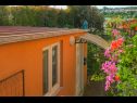Apartmanok Orange - garden terrace : SA1(2+1) Banjole - Isztrián  - ház