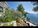 Házak a pihenésre Momento - peaceful resort : H(10) Blato - Korcula sziget  - Horvátország  - kilátás