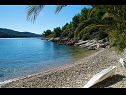 Házak a pihenésre Senka1 - pure nature & serenity: H(2) Öböl Tudorovica (Vela Luka) - Korcula sziget  - Horvátország  - strand