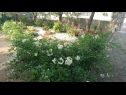 Apartmanok Dorica - flower garden A1(4) Krk - Krk sziget  - kert