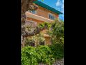 Apartmanok Giuseppe - green terrace: A1(4) Mali Losinj - Losinj sziget  - ház