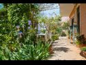 Apartmanok Giuseppe - green terrace: A1(4) Mali Losinj - Losinj sziget  - udvar