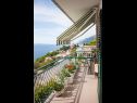 Apartmanok Ante - seaview A1(5), SA2(3), SA3(2+1) Brela - Riviera Makarska  - Apartmanstudió - SA3(2+1): balkon