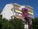 Apartmanok Kate - 20m from the beach: A1(2+2), A2(2+2) Brist - Riviera Makarska  - ház