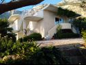 Apartmanok Viki - seaview & garden terrace: A1(6) Makarska - Riviera Makarska  - ház
