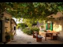 Házak a pihenésre Mirta - rustic villa: H(4+2) Podgora - Riviera Makarska  - Horvátország  - kerti terasz