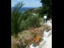 Apartmanok Đuro - panoramic sea view: A3(3+1), A5(5) Stanici - Riviera Omis  - kilátás a tengerre (ház és környéke)