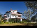 Apartmanok Davorka - with sea view: A1(4+1), A2(4+1) Kampor - Rab sziget  - ház