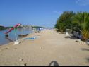 Apartmanok Mio - 100 m from beach: A1(6+1), A2(4+1) Stupin Celine (Rogoznica) - Riviera  Sibenik  - strand