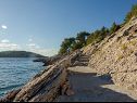 Házak a pihenésre Ani - 30 m from beach : H(4+1) Maslinica - Solta sziget  - Horvátország  - strand