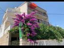 Apartmanok Per - 80 m from beach: SA2(2+1), A5(3), A6(2+1), A45(8), SA3(3), A7(2+1) Marina - Riviera Trogir  - ház