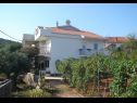 Apartmanok Slaven - 50 m from beach: A1(4+2), A2(2+1), A3(4+1) Vinisce - Riviera Trogir  - ház